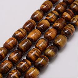 Natural & Tiger Eye Bead Strands, Grade AB, Barrel, 10.5x14~15mm, Hole: 1mm, about 24pcs/strand, 15.94 inch(G-P230-27-10x14mm)