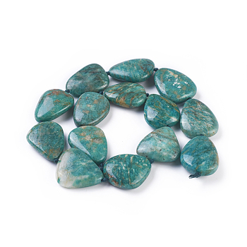 Natural Amazonite Beads Strands, teardrop, 27~31x21~26x7~11mm, Hole: 1mm, about 14pcs/strand, 16.8 inch(42.8cm)