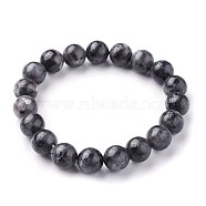 Natural Larvikite Beads Stretch Bracelets, Round, 2-1/4 inch~2-3/8 inch(5.7~6cm), Beads: 10~10.5mm(BJEW-F380-01-C14)