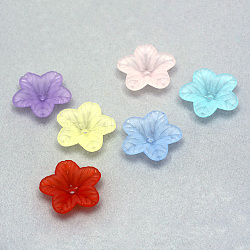 Transparent Acrylic Beads, Frosted, Flower, Mixed Color, 18x17.5x4.5mm, Hole: 1.5mm(X-FACR-Q009-12)