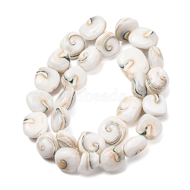 Natural Seashell Shell Beads Strands(SH-CBAFA8D-01)-2