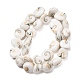 Natural Seashell Shell Beads Strands(SH-CBAFA8D-01)-2