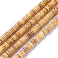 Natural Freshwater Shell Beads Strands, Dyed, Heishi Beads, Flat Round/Disc, Goldenrod, 8~8.5x1~3mm, Hole: 1mm, about 182~200pcs/strand, 15.39 inch(39.1cm)(X-BSHE-I016-04B)