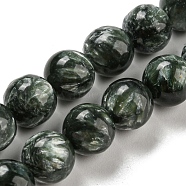 Natural Seraphinite Beads Strands, Round, Grade AB, 9.5~10mm, Hole: 1mm, about 38pcs/strand, 15.43 inch(39.2cm).(G-E557-22C-01)