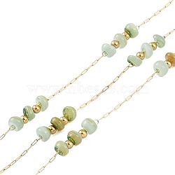 Ion Plating(IP) 316 Surgical Stainless Steel Paperclip Chains, with Natural Shell Beads, Flat Round, Real 18K Gold Plated, Unwelded, Dark Sea Green, 1.5x0.5x0.1mm(CHS-P020-01G-04)