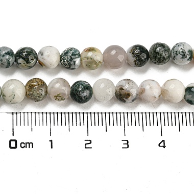 Brins de perles rondes en agate d'arbre naturelle(G-R255-6mm)-3