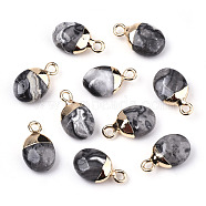 Natural Map Stone/Picasso Stone/Picasso Jasper Charms, Top Light Gold Plated, with Iron Loop, Oval, Faceted, 14~15x8x5mm, Hole: 1.8mm(G-N326-58B)