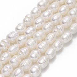 Natural Cultured Freshwater Pearl Beads Strands, Rice, Linen, 7~10x5.5~6mm, Hole: 0.7mm, about 42~45pcs/strand, 13.39''(34cm)(PEAR-J006-19A-01)