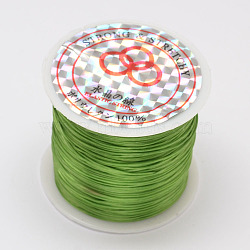 Flat Elastic Crystal String, Elastic Beading Thread, for Stretch Bracelet Making, Yellow Green, 0.8mm, about 54.68 Yards(50m)/Roll(EW-O001-01I)