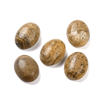 Natural Picture Jasper Cabochons, Oval, 16x12x6~7mm