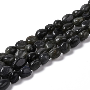 Natural Larvikite Beads Strands, Tumbled Stone, Nuggets, 7.5~9x7.5~8x3.5~6mm, Hole: 1mm, about 44pcs/strand, 15.16~15.75 inch(38.5~40cm)