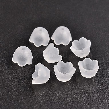 Bouchons transparents en acrylique(Y-PL543-1)-2