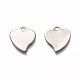 304 Stainless Steel Charms(STAS-I176-14P)-2