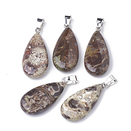 Natural Flower Agate Pendants, with Iron Snap On Bails, teardrop, Platinum, 33~35x15~16x6~7mm, Hole: 4x6mm(G-Q987-049)