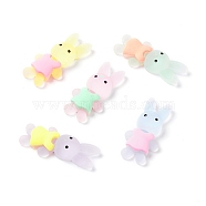 Translucent Resin Cabochons, Rabbit, Mixed Color, 35x16x7mm(CRES-K008-02)