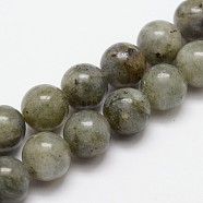 Natural Labradorite Bead Strands, Round, 8mm, Hole: 1mm, about 24pcs/strand, 7.7 inch(X-G-O155-05B-8mm)