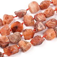 Rough Raw Natural Carnelian Beads Strands, Nuggets, 15~27x16~29mm, Hole: 1.5mm, about 16pcs/strand, 15.55''~16.34''(39.5~41.5cm)(G-F595-I07)