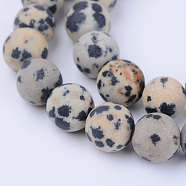 Natural Dalmatian Jasper Beads Strands, Frosted, Round, 6~6.5mm, Hole: 1mm, about 58~61pcs/strand, 15.5 inch(X-G-Q462-6mm-05)