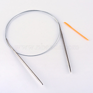 Steel Wire Stainless Steel Circular Knitting Needles and Random Color Plastic Tapestry Needles, More Size Available, Stainless Steel Color, 800x3.5mm, 2pcs/bag(TOOL-R042-800x3.5mm)