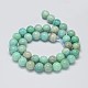 Chapelets de perles en amazonite naturelle(G-K068-03-10mm)-2