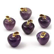 Natural Amethyst Teacher Apple Charms, with Golden Plated Brass Snap on Bails, 14.5x14mm, Hole: 6.5x4mm(G-Z022-02O-G)