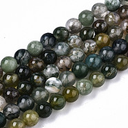 Natural Moss Agate Beads Strands,  Round, 4mm, Hole: 0.5mm, about 93~98pcs/strand, 15.35 inch~15.75 inch(39~40cm)(G-S359-232)
