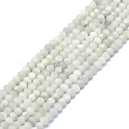 Natural Rainbow Moonstone Beads Strands, Faceted, Rondelle, 6x4mm, Hole: 1mm, about 85~90pcs/strand, 15.55 inch(39.5cm)(G-F715-086)