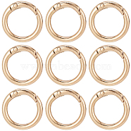 30Pcs Alloy Spring Gate Rings, O Rings, Light Gold, 6 Gauge, 25x4mm, Inner Diameter: 17mm(FIND-SC0009-08)