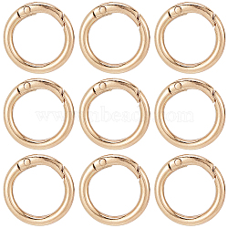 30Pcs Alloy Spring Gate Rings, O Rings, Light Gold, 6 Gauge, 25x4mm, Inner Diameter: 17mm(FIND-SC0009-08)