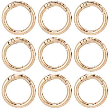 30Pcs Alloy Spring Gate Rings, O Rings, Light Gold, 6 Gauge, 25x4mm, Inner Diameter: 17mm