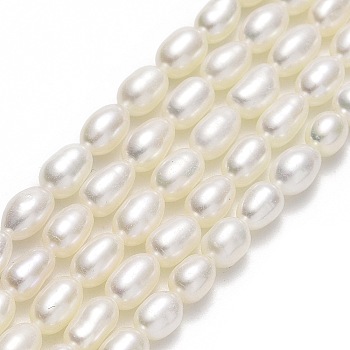 Natural Cultured Freshwater Pearl Beads Strands, Rice, Linen, 5.5~6x4~4.5mm, Hole: 0.6mm, about 56~66pcs/strand, 14.96''(38cm)
