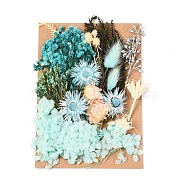 Dried Flower, for Bridal Shower, Wedding, Preserved Fresh Flower, Cyan, 210x148x14~24.5mm(DIY-B018-07)