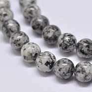 Natural Sesame Jasper/Kiwi Jasper Beads Strands, Round, Gray, 8mm, Hole: 1mm, about 47pcs/strand, 15.5 inch(G-F351-8mm)
