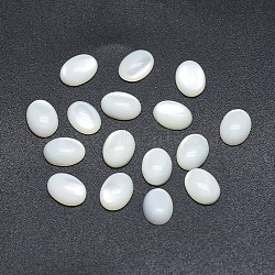 Shell Cabochons, Oval, 19.5~20x14.5~15x2mm(SSHEL-P015-59D)