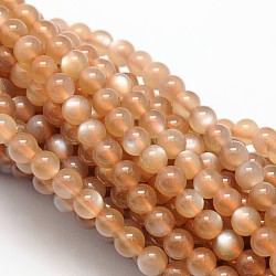 Natural Moonstone Beads Strands, Grade AA, Round, 5mm, Hole: 1mm; about 84pcs/strand, 15.74inches(G-L425-25-5mm)