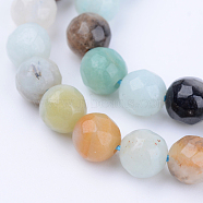 Natural Flower Amazonite Beads Strands, Round, Faceted, 6~6.5mm, Hole: 1mm, about 63pcs/strand, 15.5 inch(G-Q462-6mm-42)