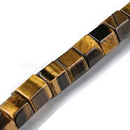 Natural Tiger Eye Beads Strands, Hexagonal Prism, 9~11x12x13.5~14mm, Hole: 1.2mm, about 20pcs/strand, 7.64~8.70 inch(19.4~22.2cm)(G-F743-03D)