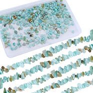 4 Strands Natural Amazonite Chip Beads Strands, 5~8x5~8mm, Hole: 1mm, about 31.5 inch(G-SC0002-66)