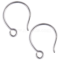 Anti-Tarnish Beebeecraft 5 Pair 925 Sterling Silver Earring Hooks, Ear Wire, with Horizontal Loops, Platinum, 12.3mm, Hole: 1mm, Pin: 0.8mm(STER-BBC0002-01)