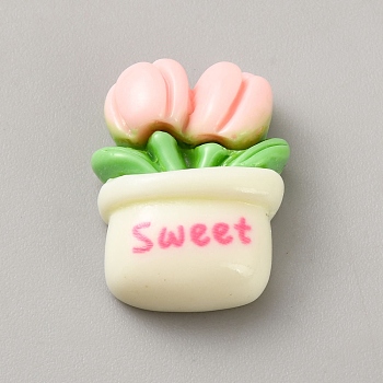 Opaque Resin Cabochons, Flower Potted Plant, Flower, Misty Rose, 22x17.5x8mm
