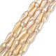 Electroplated Opaque Glass Beads Strands(X-EGLA-L015-FR-B25-01)-1