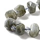 Natural Labradorite Beads Strands(G-E578-03)-4