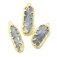 Natural Kyanite/Cyanite/Disthene Quartz Pendants, Rectangle Charms with Rack Plating Golden Plated Tin &  Brass Findings, Cadmium Free & Lead Free, 37~46x12.5~16.5x4~5mm, Hole: 3mm(G-C050-04G)