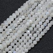 Natural Moonstone Beads Strands, Round, Faceted, 4mm, Hole: 0.7mm, about 94pcs/strand, 15.35 inch(39cm)(X-G-E411-08-4mm)