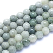 Natural Myanmar Jade/Burmese Jade Beads Strands, Round, 8mm, Hole: 0.7mm, about 49pcs/strand, 15.75 inch(40cm)(G-I279-C02-8mm)