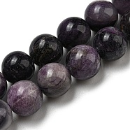 Grade A Natural Fluorite Beads Strands, Round, 10mm, Hole: 0.8mm, about 41pcs/strand, 15.67''(39.8cm)(G-R494-A13-04)