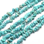 Synthetic Turquoise Chip Bead Strands, Dyed, 5~8x5~8mm, Hole: 1mm, about 31.5 inch(G-M205-77)
