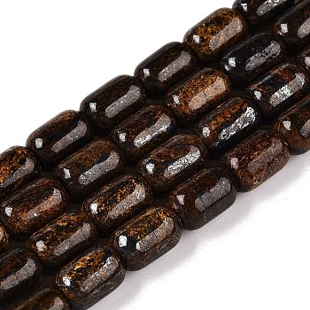 Natural Bronzite Beads Strands, Column, 9~9.5x6~6.5mm, Hole: 0.9~1mm, about 20~21pcs/strand, 7.28~7.6''(18.5~19cm)