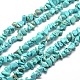 Puce turquoise synthétique chapelets de perles(G-M205-77)-1