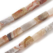 Natural Crazy Agate Beads Strands, Cuboid, 13~14x4~4.5x4~4.5mm, Hole: 1.2mm, about 30~31pcs/strand, 16 inch(40cm)(G-G837-04)